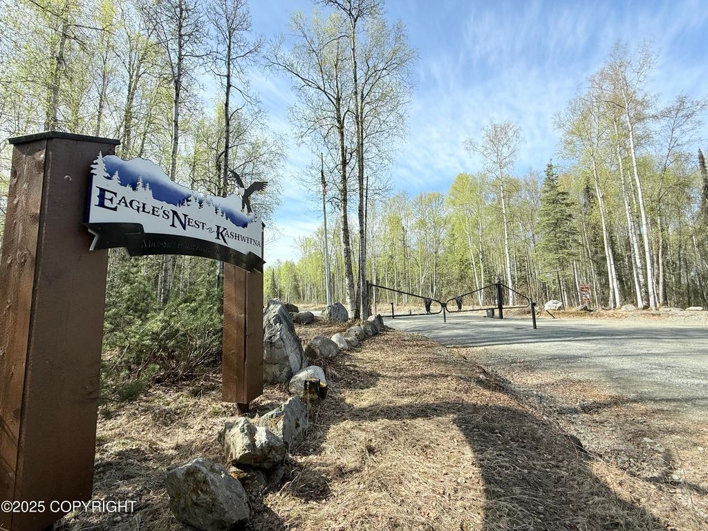 20001 E Goshawk Way, Willow, AK 99688