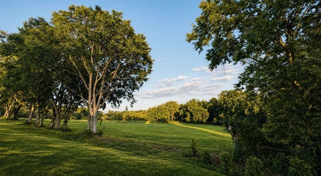0 Nolensville Rd, Arrington, TN 37014