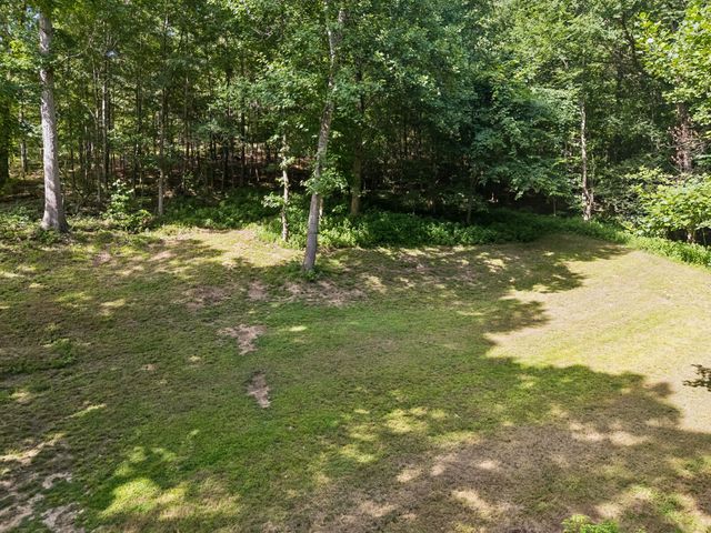 906 Riverwood Dr, Buchanan, TN 38222
