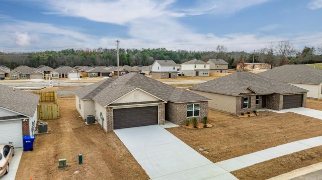 1295 Cowbell Street, Conway, AR 72034