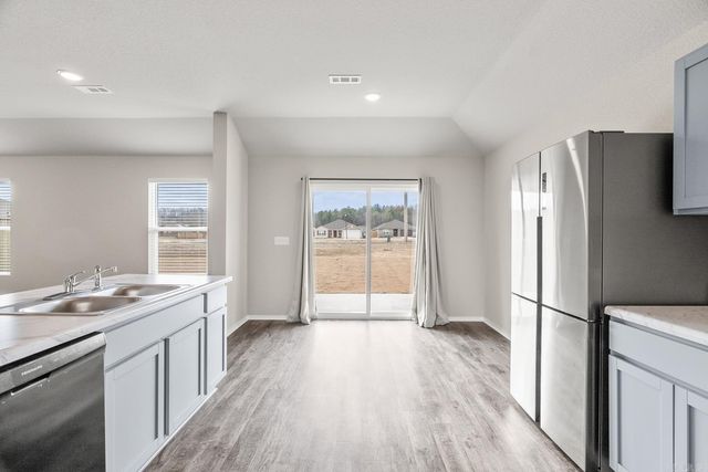 1295 Cowbell Street, Conway, AR 72034