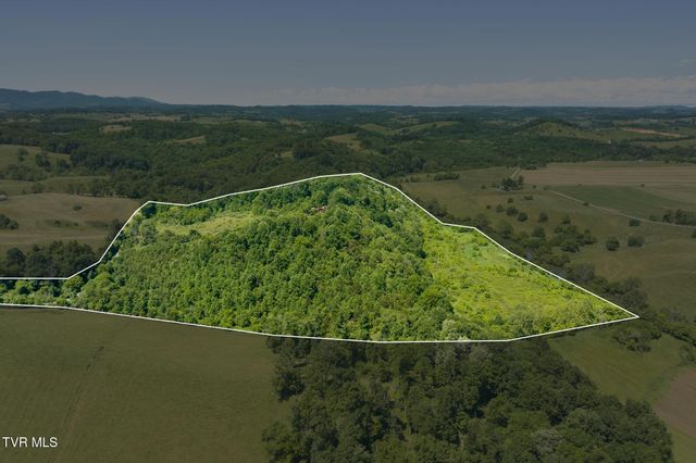 35000 Barrtree Lane, Glade Spring, VA 24340