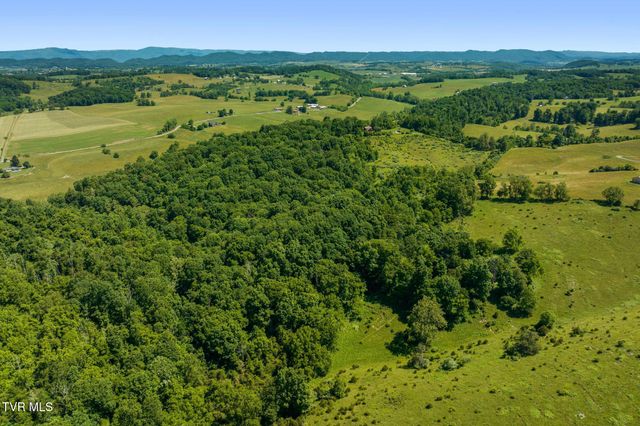 35000 Barrtree Lane, Glade Spring, VA 24340