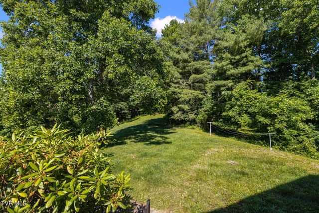 35000 Barrtree Lane, Glade Spring, VA 24340