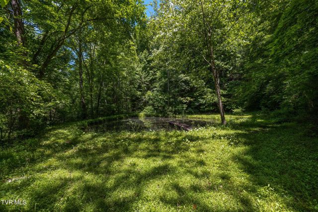 35000 Barrtree Lane, Glade Spring, VA 24340