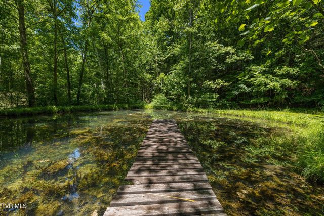 35000 Barrtree Lane, Glade Spring, VA 24340