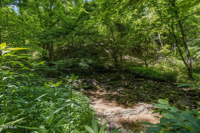35000 Barrtree Lane, Glade Spring, VA 24340