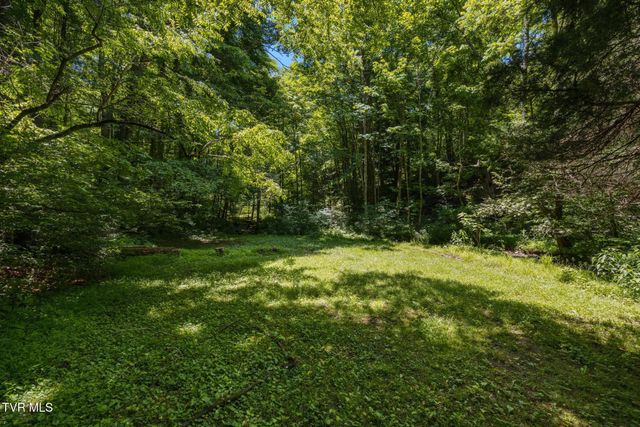 35000 Barrtree Lane, Glade Spring, VA 24340