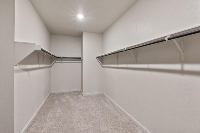 205 Lavaca River LN, Hutto, TX 78634