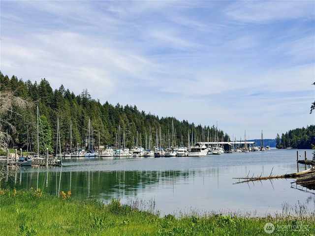 50 Dogwood Lane, Brinnon, WA 98320