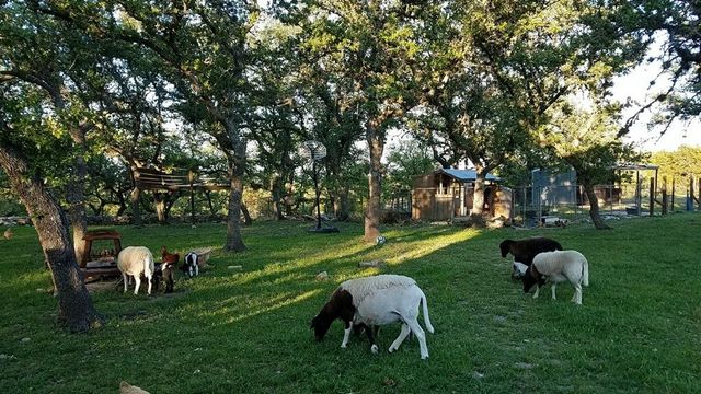 311 Harmon Hills CV, Dripping Springs, TX 78620