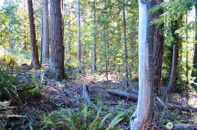 16100 40th Place, Bellingham, WA 98229