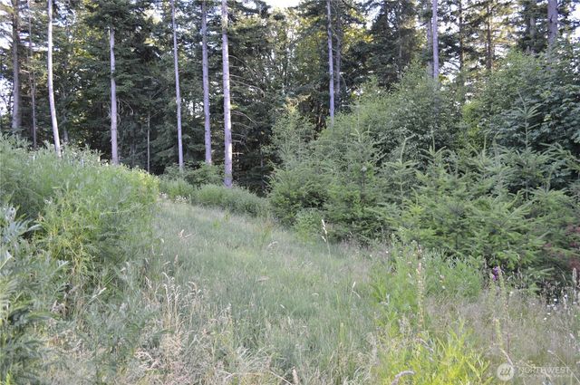 16100 40th Place, Bellingham, WA 98229