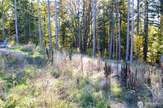 16100 40th Place, Bellingham, WA 98229
