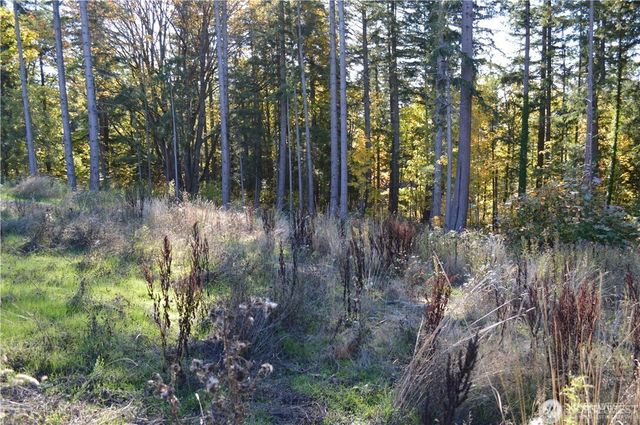 16100 40th Place, Bellingham, WA 98229