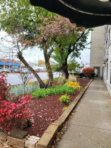 1227 S Harlem Avenue 215, Berwyn, IL 60402