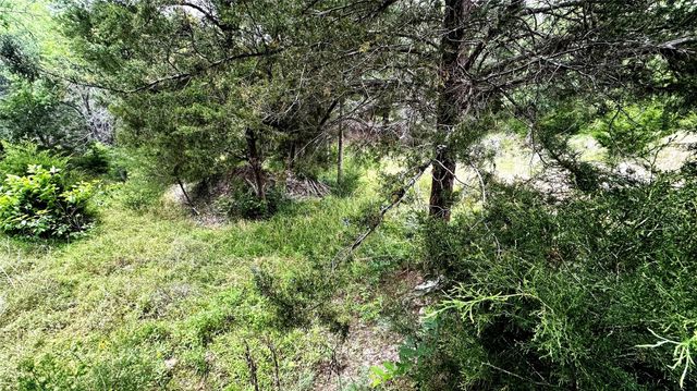 6624 Misty Lane, North Zulch, TX 77872