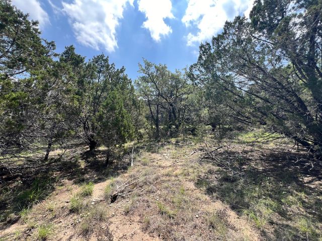 21910 Surrey LN, Lago Vista, TX 78645