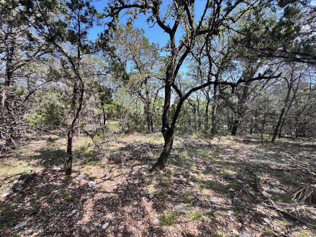 21910 Surrey LN, Lago Vista, TX 78645