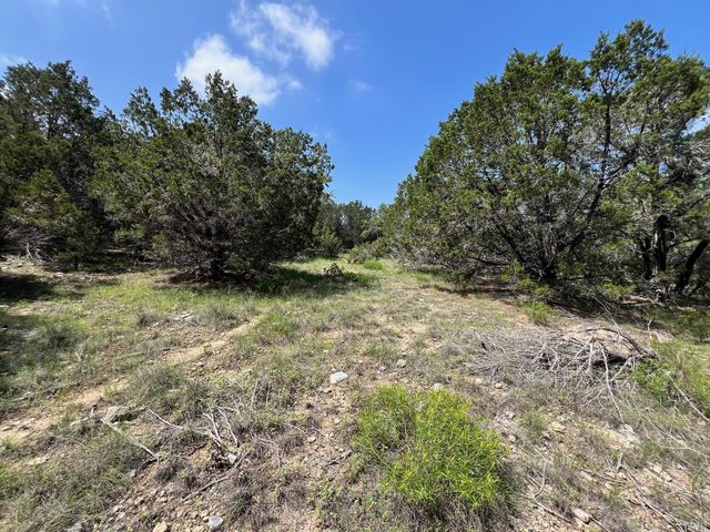 21910 Surrey LN, Lago Vista, TX 78645