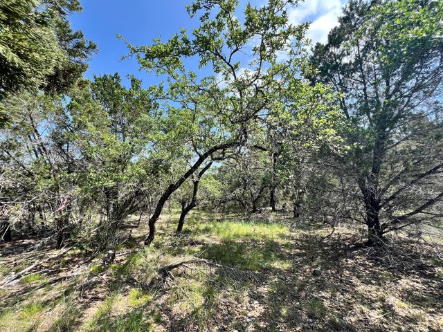 21910 Surrey LN, Lago Vista, TX 78645