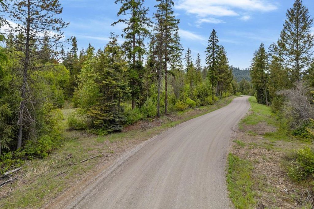 000 Hesseltine Lot 3 Rd, Valley, WA 99181 photo 19