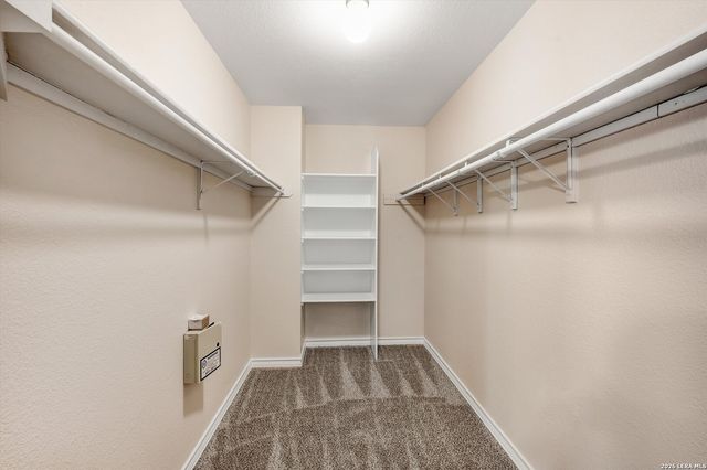 125 BRUSH TRAIL BND, Cibolo, TX 78108
