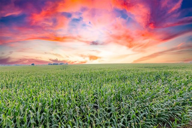 TBD County Road 445 Tract 3, Thrall, TX 76578