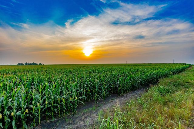 TBD County Road 445 Tract 3, Thrall, TX 76578