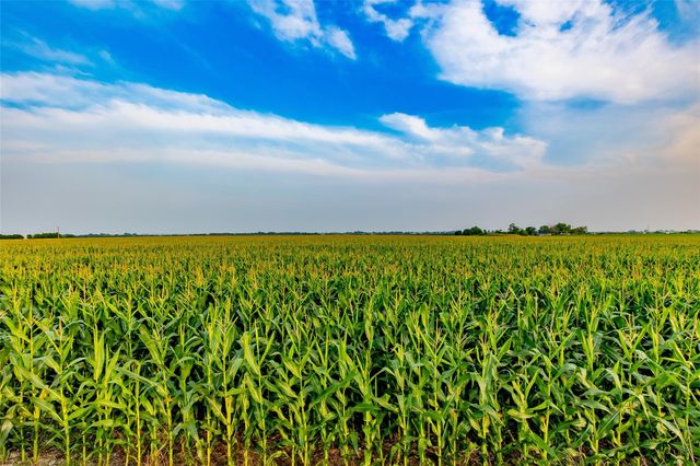 TBD County Road 445 Tract 3, Thrall, TX 76578