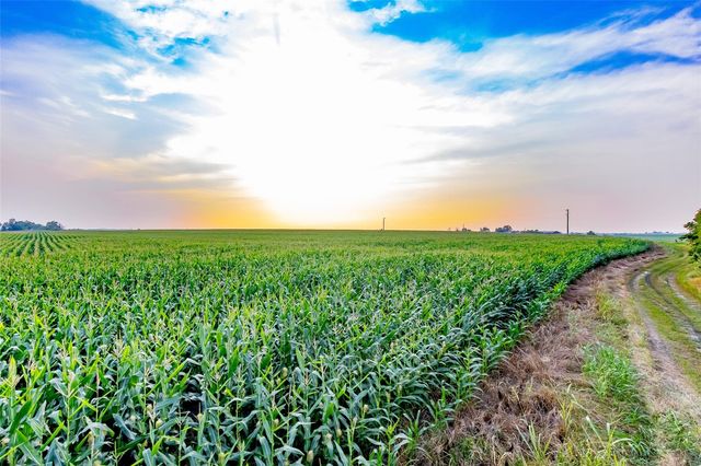 TBD County Road 445 Tract 3, Thrall, TX 76578