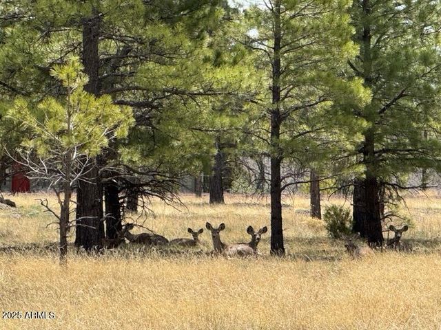 Lot 2 N Quintana Drive 2, Flagstaff, AZ 86001