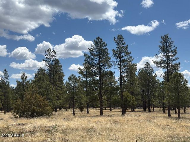 Lot 2 N Quintana Drive 2, Flagstaff, AZ 86001