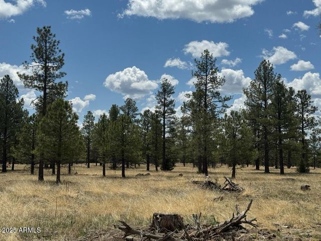 Lot 2 N Quintana Drive 2, Flagstaff, AZ 86001