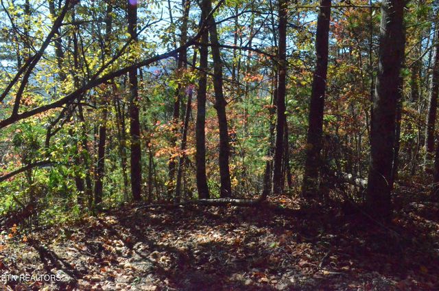 Lot 28R Mountain Retreat Rd, Townsend, TN 37882