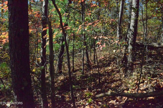 Lot 28R Mountain Retreat Rd, Townsend, TN 37882