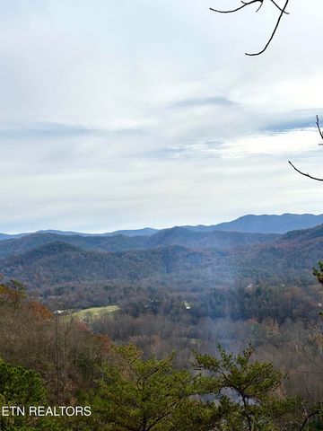 Lot 28R Mountain Retreat Rd, Townsend, TN 37882