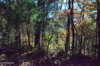 Lot 28R Mountain Retreat Rd, Townsend, TN 37882