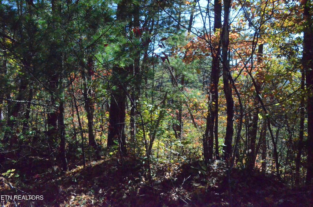 Lot 28R Mountain Retreat Rd, Townsend, TN 37882