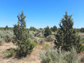 SE Snake Road, Prineville, OR 97754
