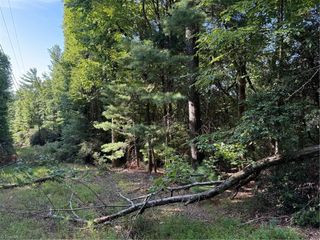 00 Timber Ridge Road, Millers Creek, NC 28651