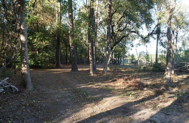 424 S Avenue D, Humble, TX 77338
