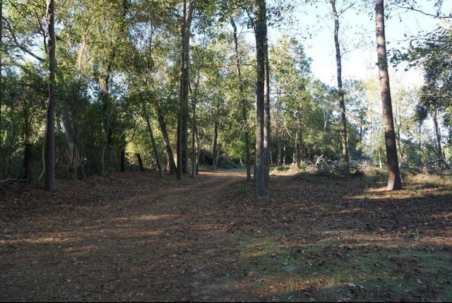 424 S Avenue D, Humble, TX 77338