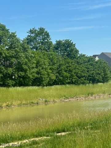 6465 Buckeye Lane, Medina, OH 44256