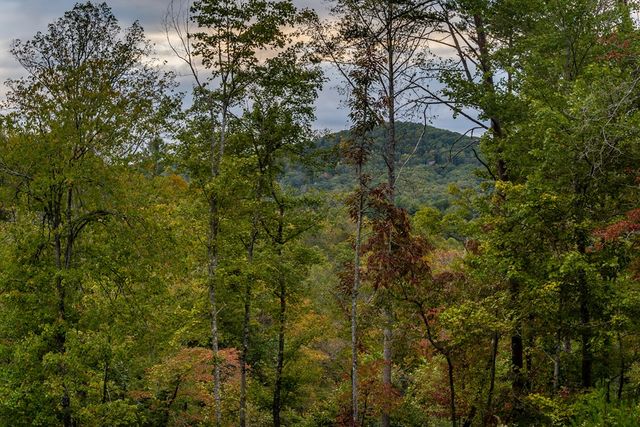 48 Green Ridge Road, Blue Ridge, GA 30513