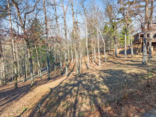 234 Old Indian Trail, Blue Ridge, GA 30513