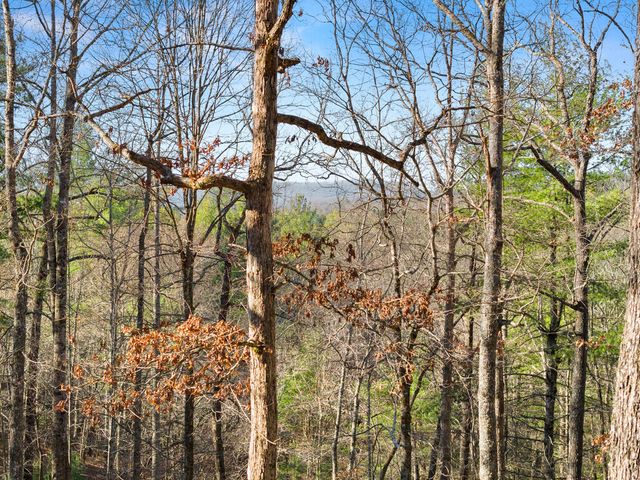234 Old Indian Trail, Blue Ridge, GA 30513