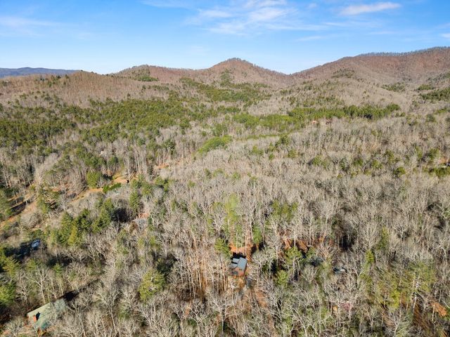234 Old Indian Trail, Blue Ridge, GA 30513