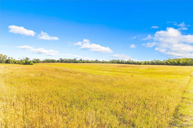 2364 Alabama River Parkway, Millbrook, AL 36054