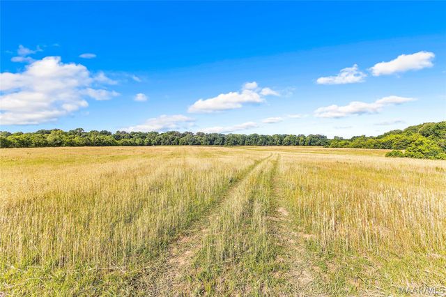 2364 Alabama River Parkway, Millbrook, AL 36054